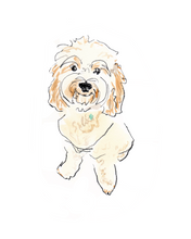 Load image into Gallery viewer, Pet Portrait