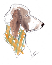 Load image into Gallery viewer, Pet Portrait