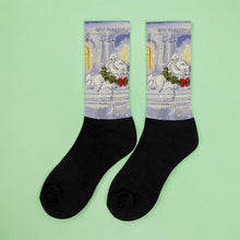 Load image into Gallery viewer, Socks -- New York Public Library Lions